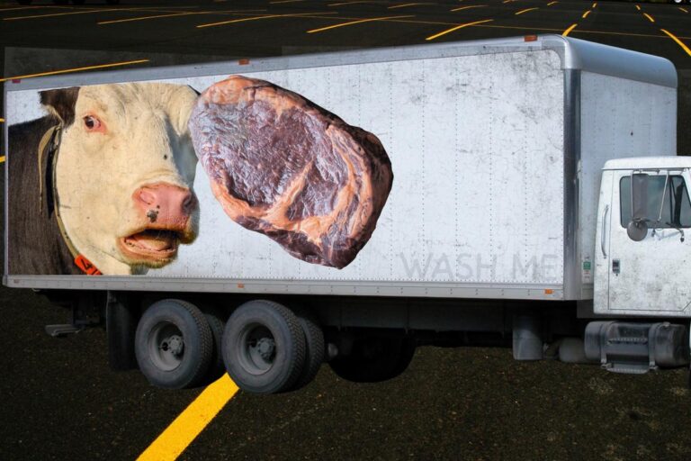 Would You Buy This Ungraded Meat From the Back of a Truck?
