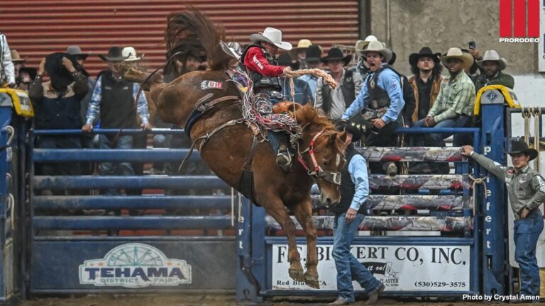 Lefty Holman wins average, Boot Barn California Circuit Finals year-end title