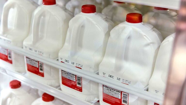Whole milk now allowed in school lunches as Trump signs bill reversing limits