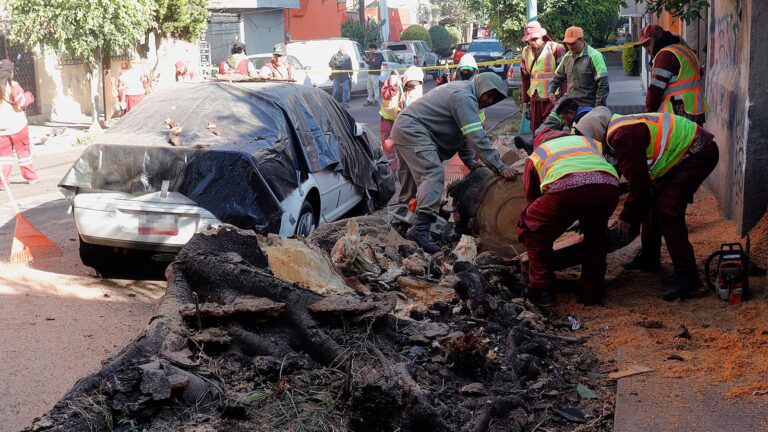 Earthquake with a preliminary magnitude of 6.5 rattles southern and central Mexico