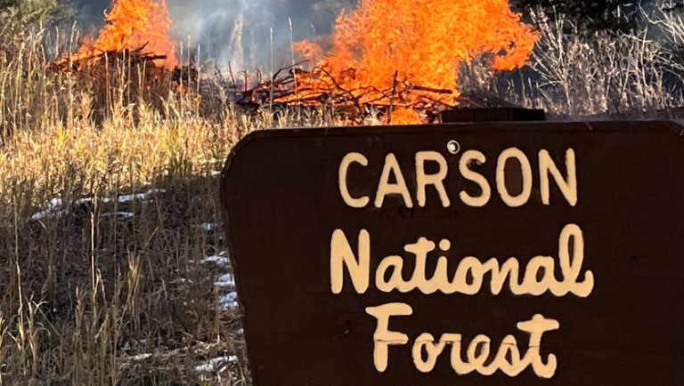 Carson Forest prescribed pile burns are ready to begin