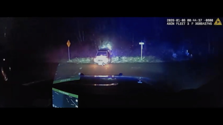 Police chase ends in crash, dog being ejected from windshield