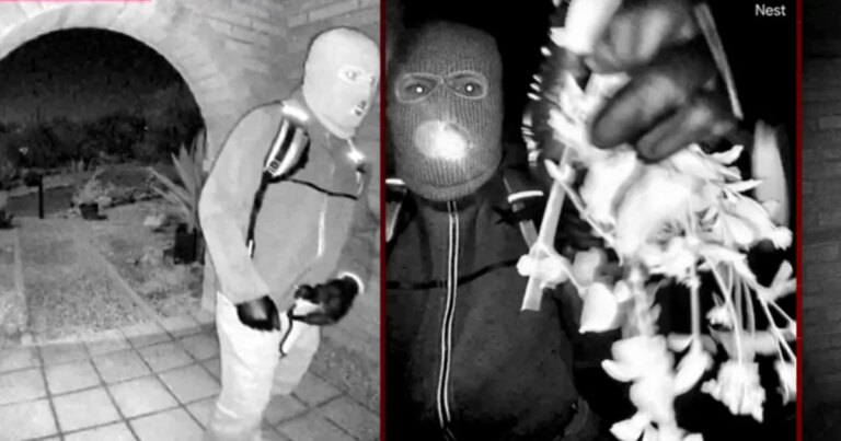 What the detainment in the Guthrie case could mean for the investigation