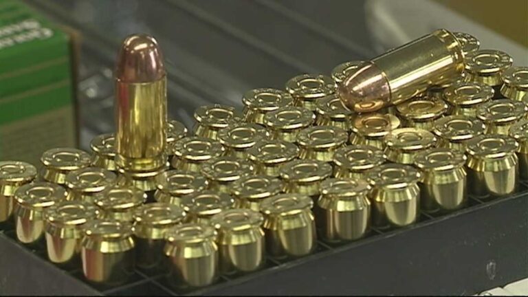 New Mexico Senate lawmakers pass bill to restrict firearms sales