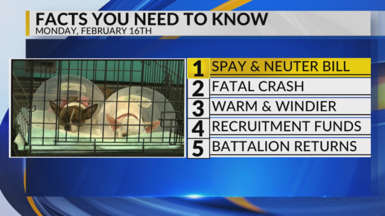 Spay and neuter bill, Santa Fe fatal crash, Warm and windy, Recruitment funds, Roswell battalion returns