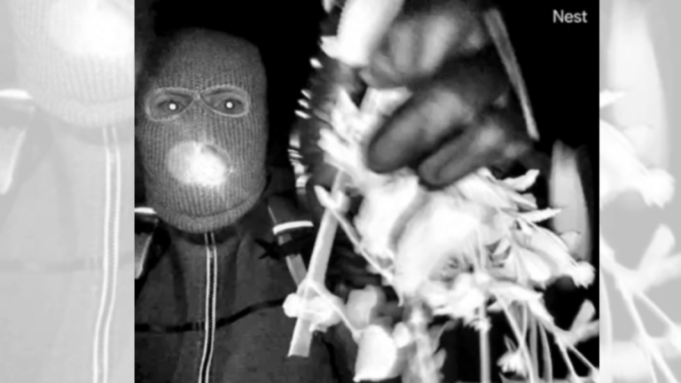 Glove with DNA appears to match gloves of subject in Nancy Guthrie surveillance video: FBI