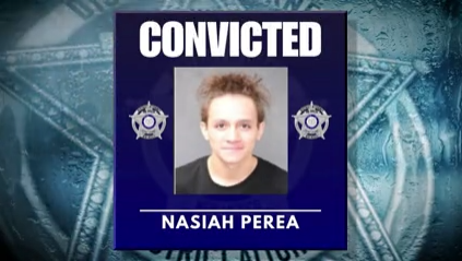 Man convicted in hot air balloon pilot carjacking