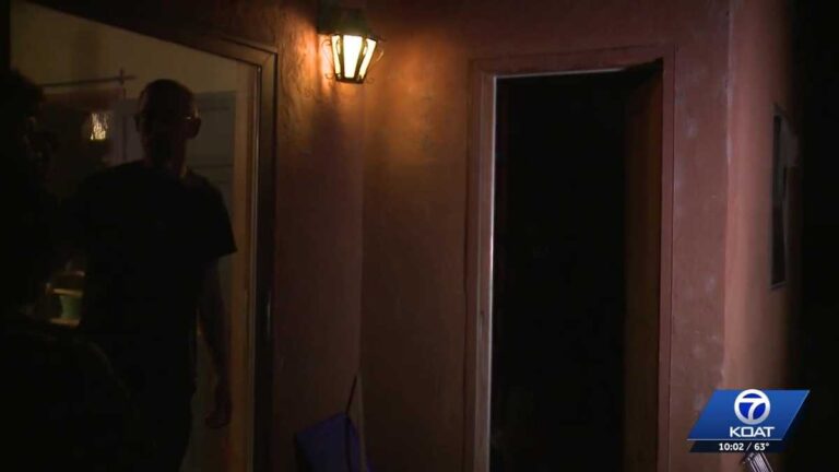 ‘they were in my shed’