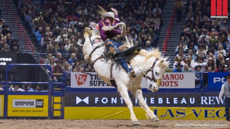 NFR bucking horse Damaged Goods passes away