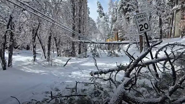 Emergency SNAP food assistance available after storm impacts