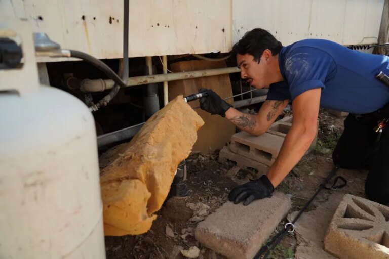 Nine animals rescued from South Valley home in suspected neglect case