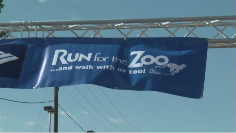 Official artwork for 39th Run for the Zoo revealed