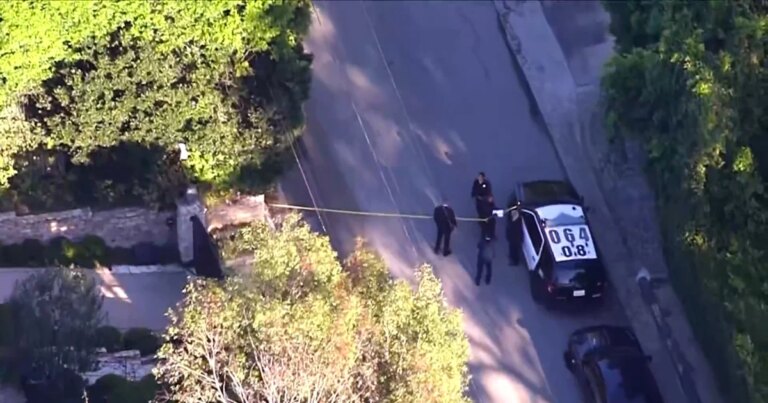 Woman arrested after allegedly firing shots at Rihanna’s L.A. home, police say