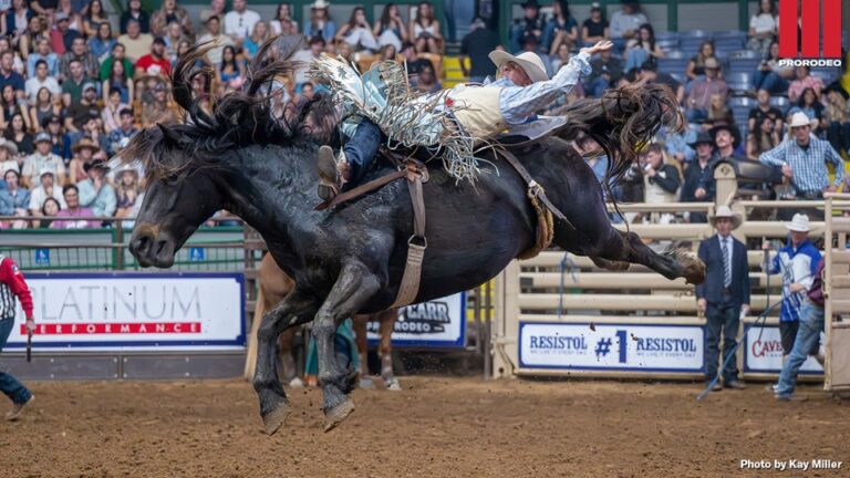 Tucker Carricato takes bareback riding title at Resistol Rookie Roundup