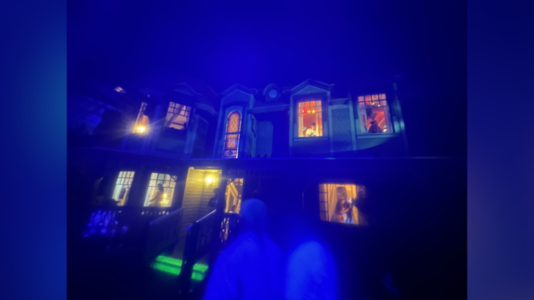 Ten Years of Weird: Meow Wolf Santa Fe reflects on growth, change, and the journey