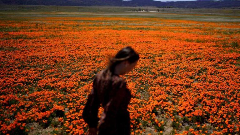 Welcome to allergy season. Here’s how to protect yourself