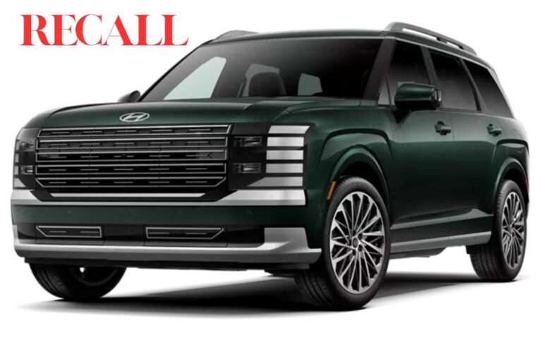 Hyundai Abruptly Halts All Sales of SUV After Infant Death