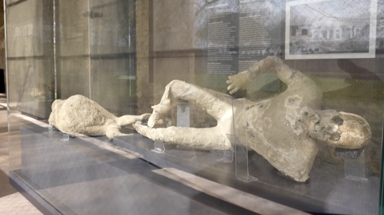A new exhibit shows plaster casts of Pompeii victims