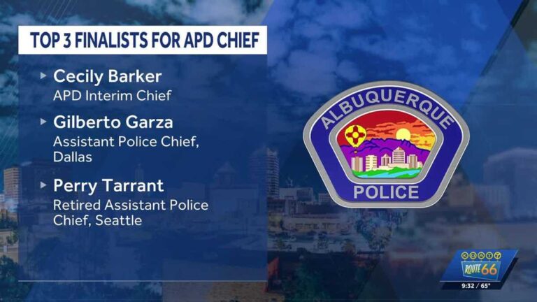 APD selects three finalists in police chief search