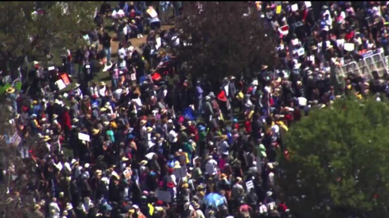 Watch: No Kings Protest