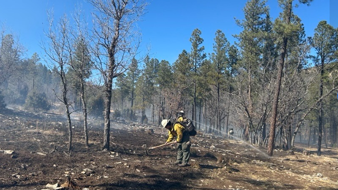 Lincoln National Forest ups fire danger rating to ‘high’