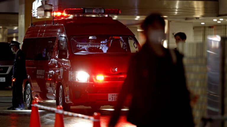 A knife-wielding man kills a woman at a Tokyo Pokemon shop before taking his own life