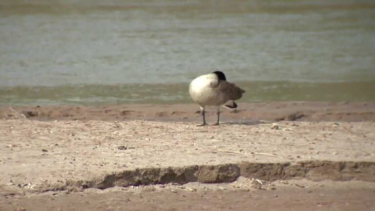 Rio Grande faces water shortage after dry winter