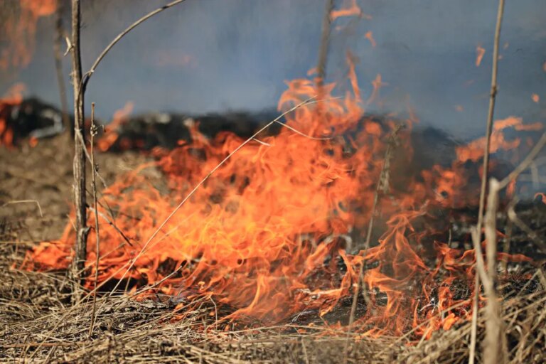 Cave Fire burns 458 acres in Lincoln County